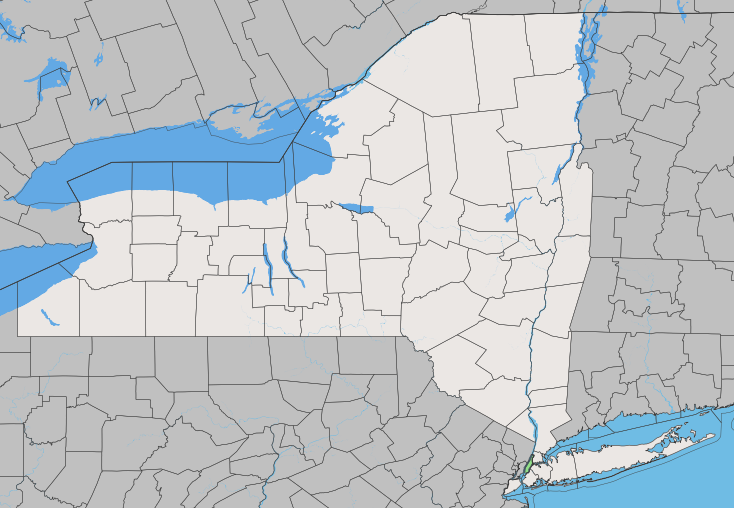 United States New York