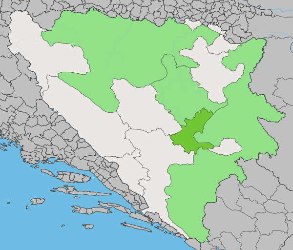 Bosnia and Herzegovina counties